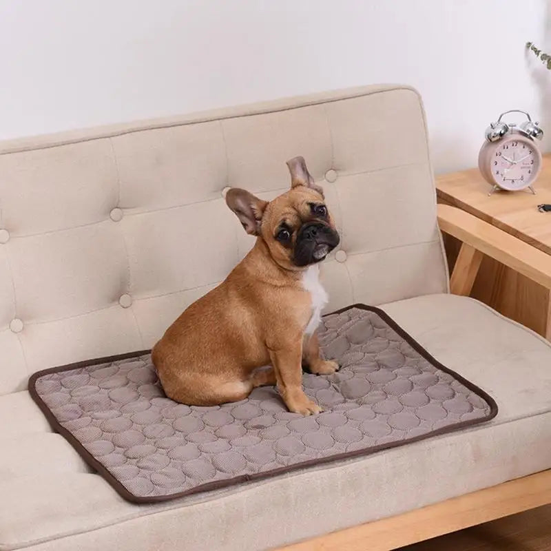 Kühlmatte für Hunde & Katzen – Atmungsaktiv & Komfortabel